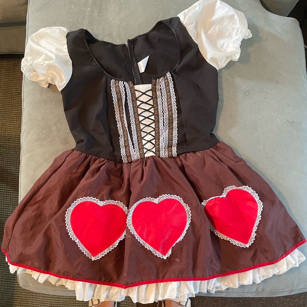 Small costume dirndl Great beer maid, oktoberfest, or Bavarian costume.